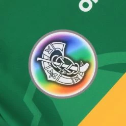 Kerry Camogie Home Jersey 2022 -Sporty Life Shop camogie kerry home jersey 22 wmns 3