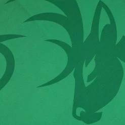 Kerry LGFA Home Jersey 2022 -Sporty Life Shop kerry home jersey 2022 9 3 5