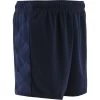 Mourne Shorts Marine Fade